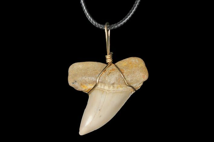 Fossil Mako Tooth Necklace - Bakersfield, California #130884